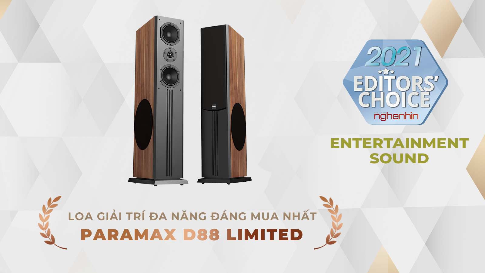 Loa giải trí đa năng đáng mua nhất-Paramax D88 Limited
